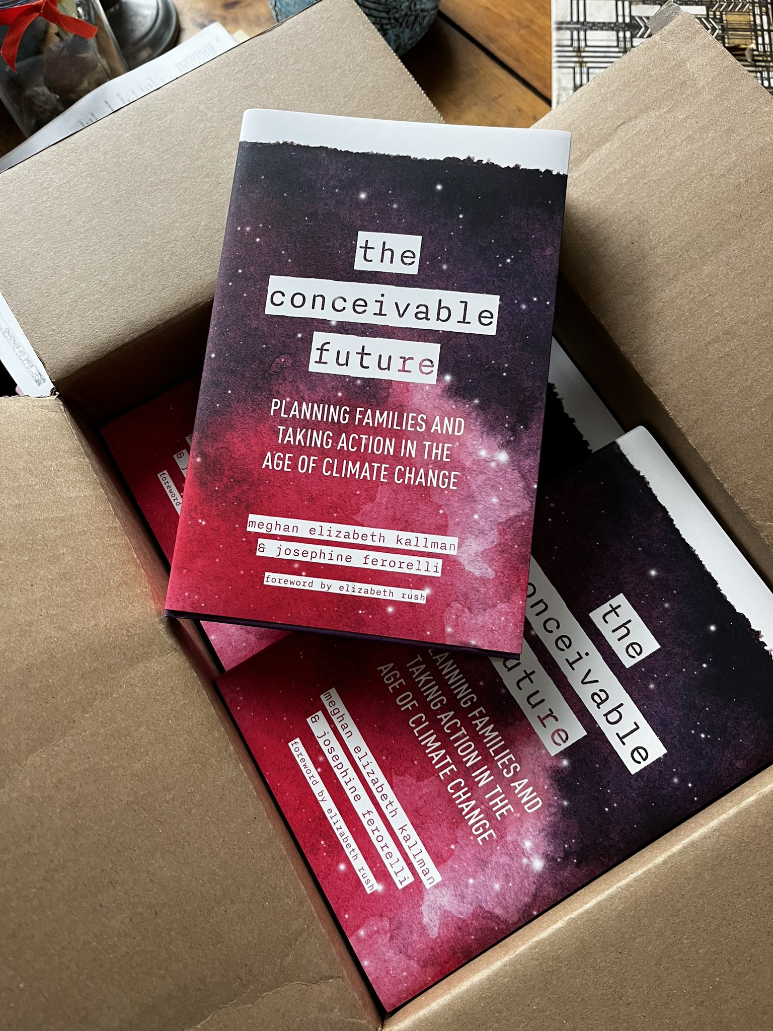 The Conceivable Future: Authors Talk About Family Planning Around ...